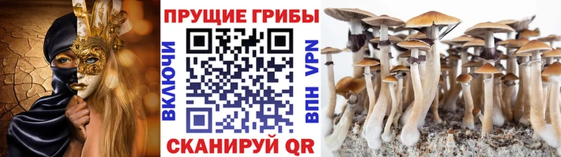купить закладку Гагарин Галлюциногенные грибы прущие грибы
